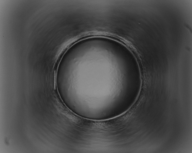 X0000101421223200807141146