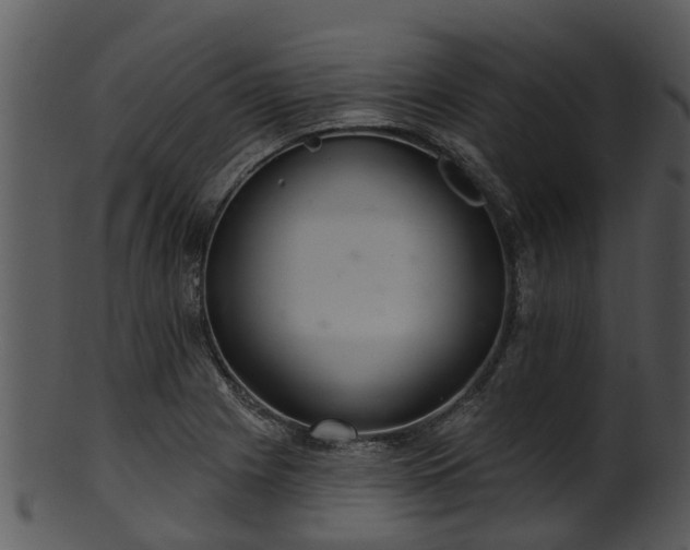 X0000101421225200807141146