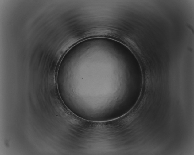 X0000101421226200807141146