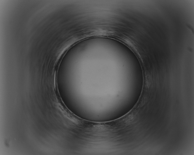 X0000101421227200807141146