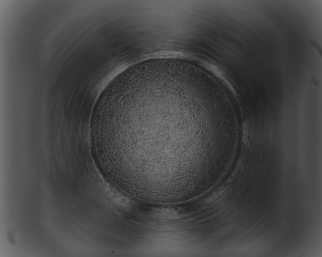 X0000101421229200807141147