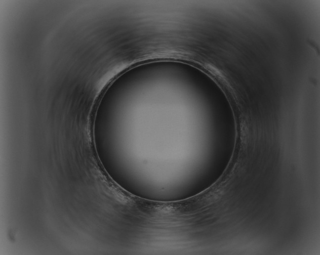 X0000101421230200807141147
