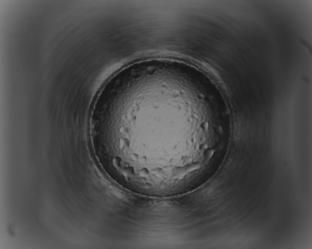 X0000101421231200807141147