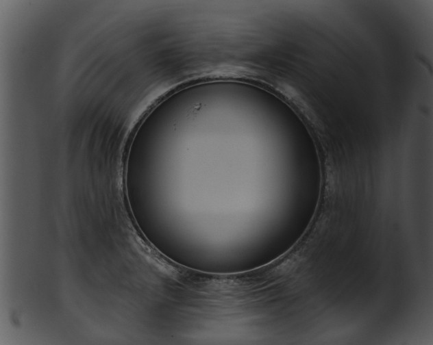 X0000101421232200807141147