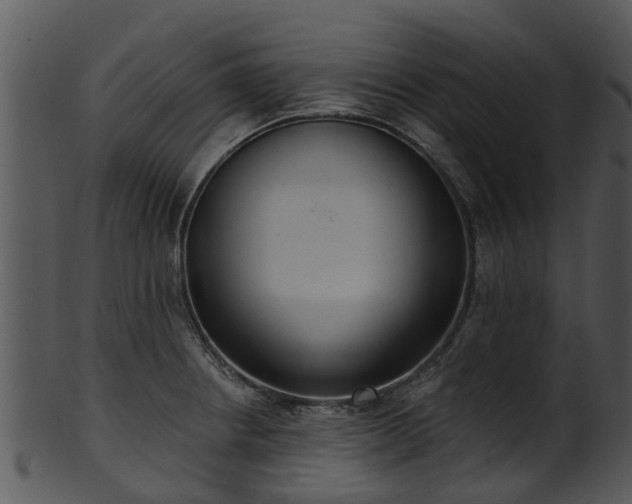 X0000101421234200807141147