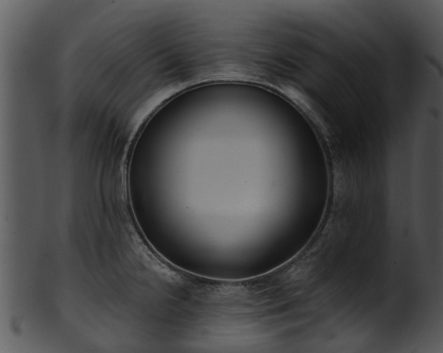 X0000101421238200807141147