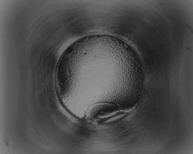 X0000101421239200807141147