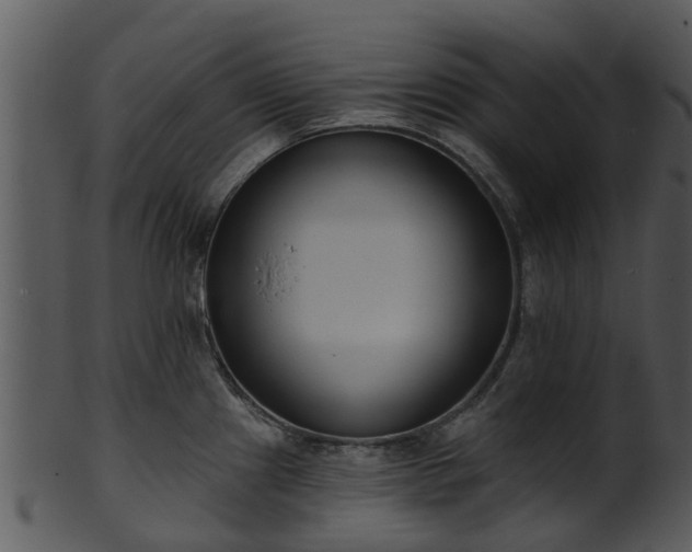 X0000101421241200807141147