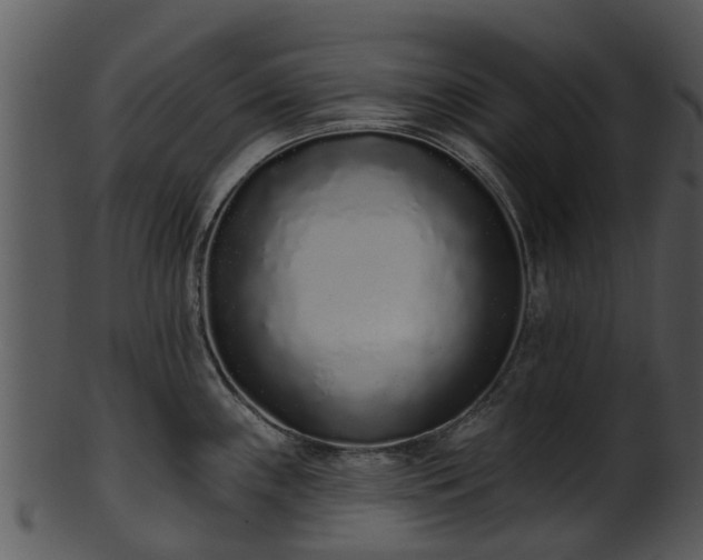 X0000101421243200807141147