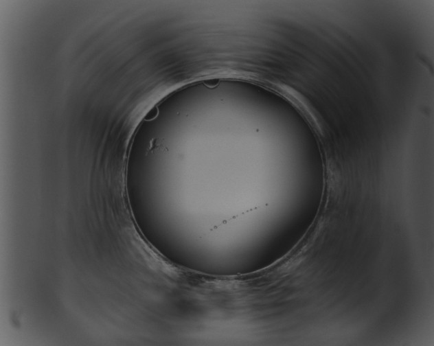 X0000101421244200807141147