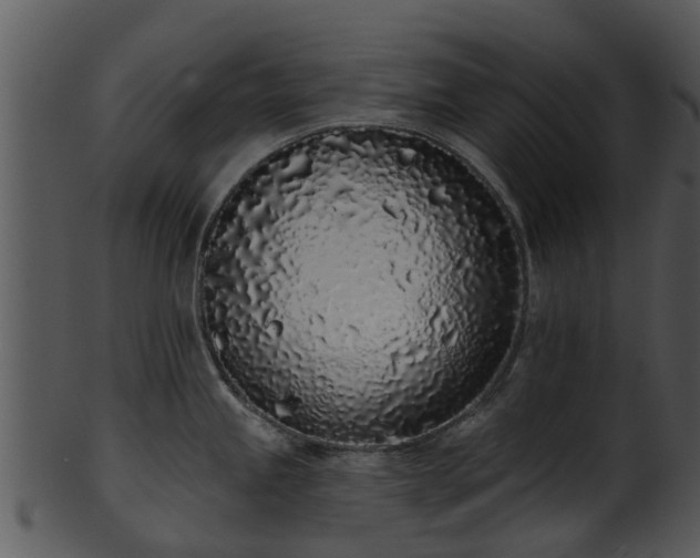 X0000101421245200807141147