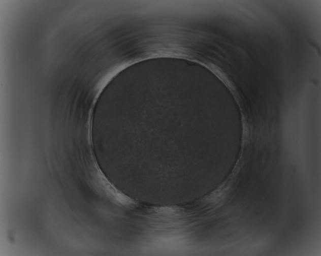 X0000101421246200807141147