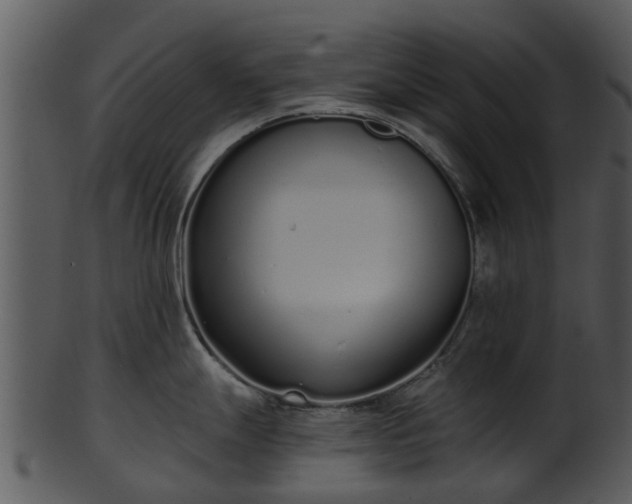 X0000101421247200807141147