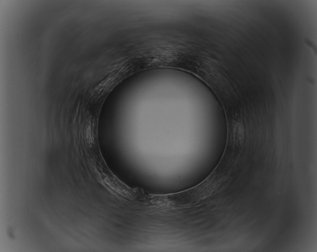 X0000101421250200807141146
