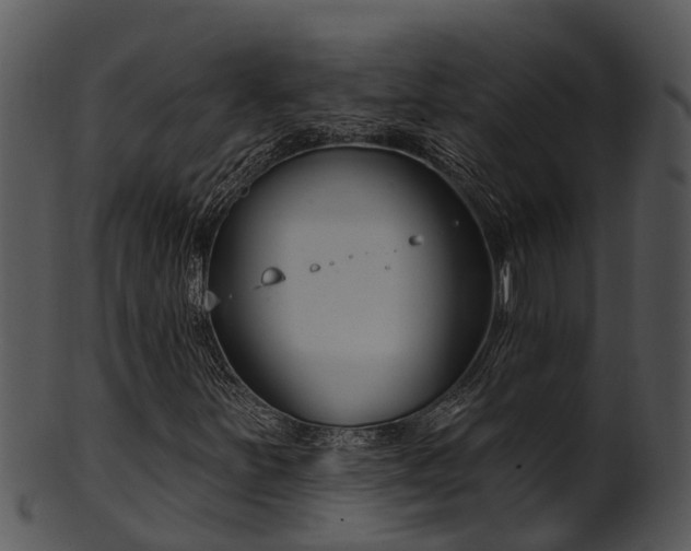 X0000101421251200807141146