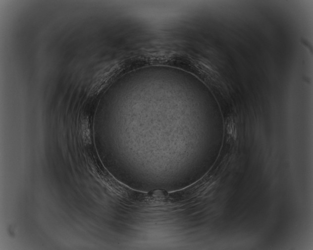 X0000101421252200807141146