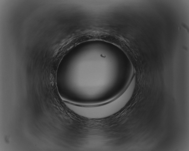 X0000101421253200807141146