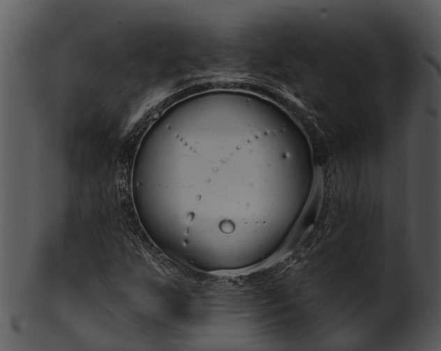 X0000101421255200807141146