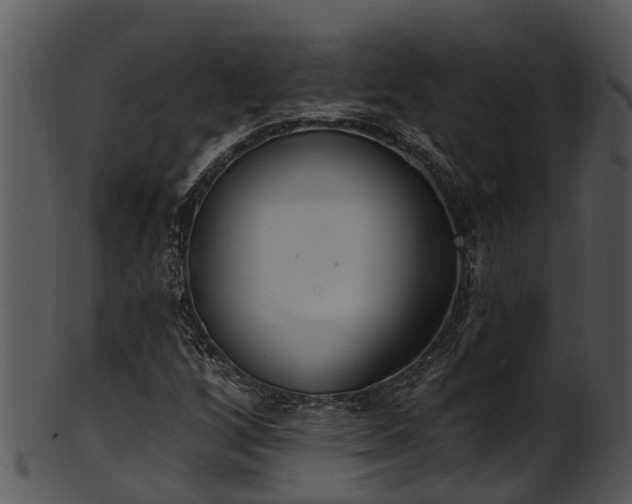 X0000101421256200807141146