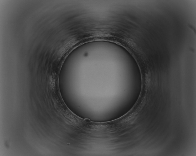 X0000101421257200807141146