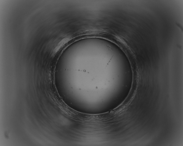 X0000101421259200807141146