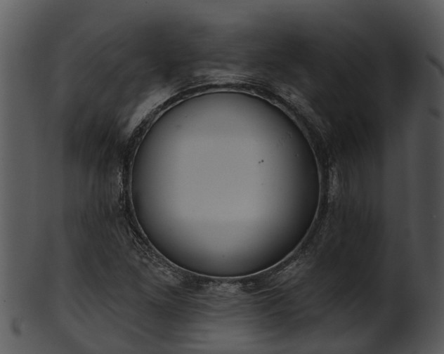 X0000101421261200807141146