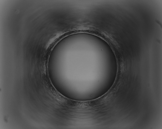 X0000101421262200807141146