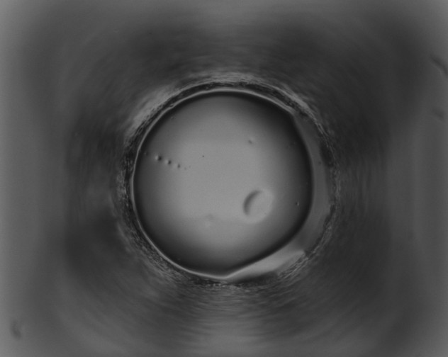 X0000101421263200807141146