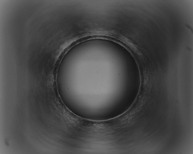 X0000101421264200807141146