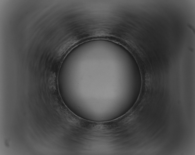 X0000101421265200807141146