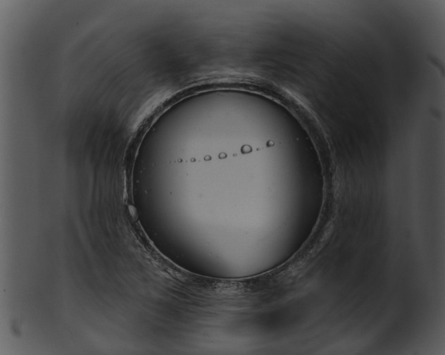 X0000101421267200807141146