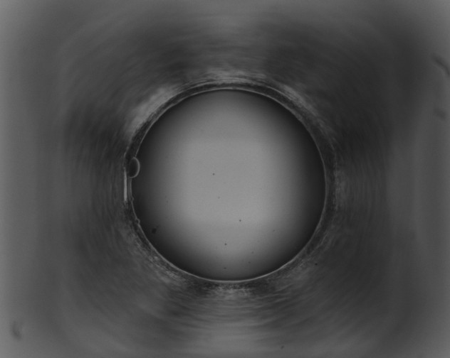 X0000101421269200807141146