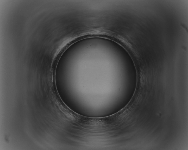 X0000101421270200807141146