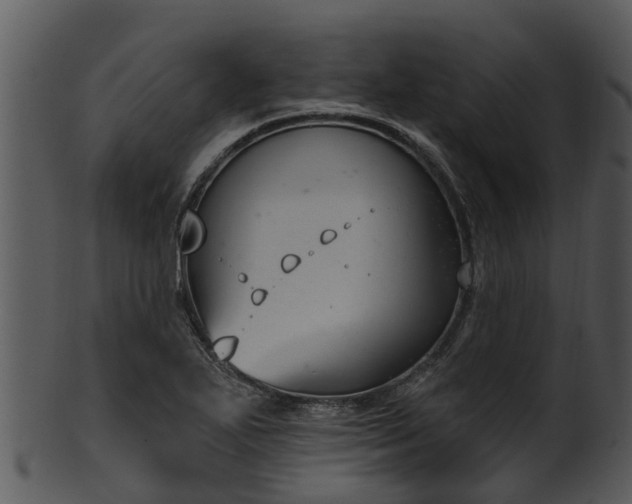 X0000101421271200807141146