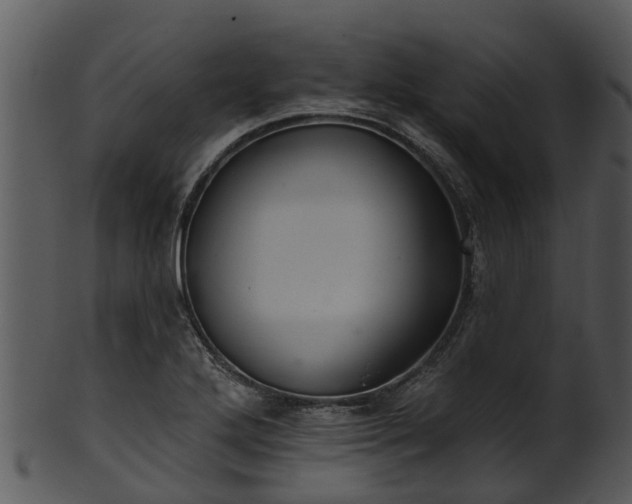 X0000101421272200807141146