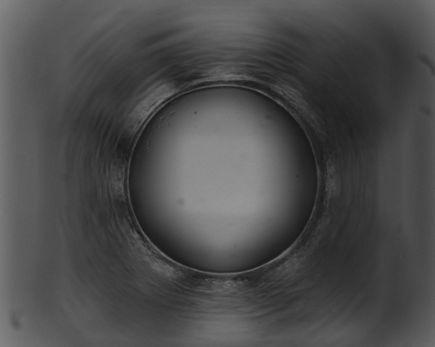 X0000101421273200807141146