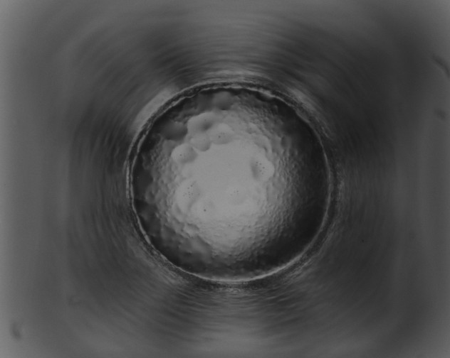 X0000101421275200807141146