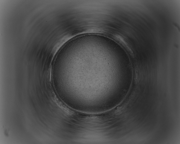 X0000101421276200807141146