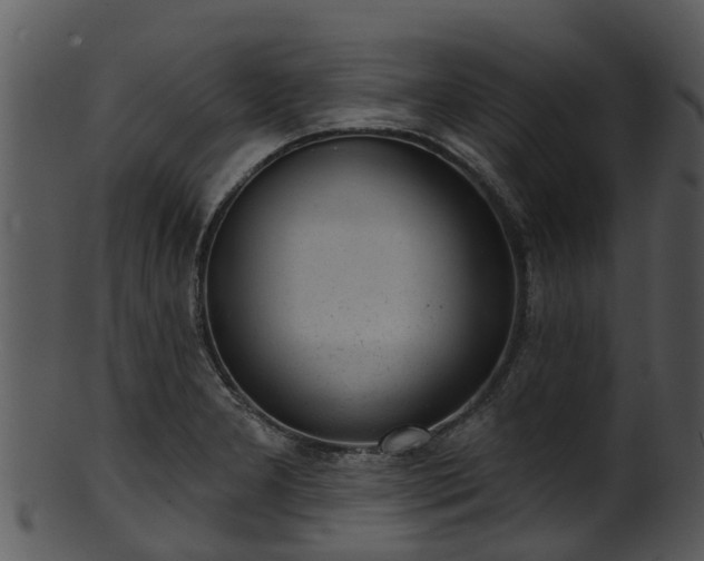 X0000101421277200807141146