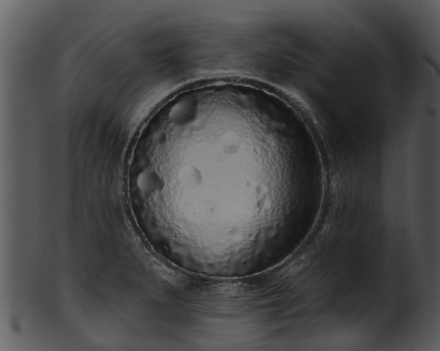 X0000101421279200807141146