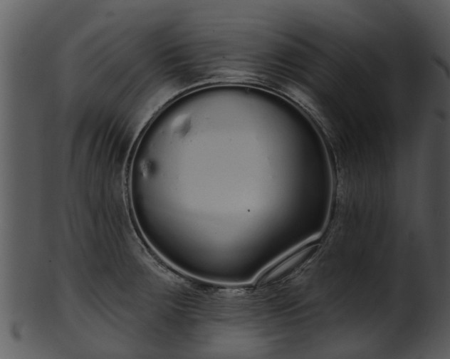 X0000101421283200807141145