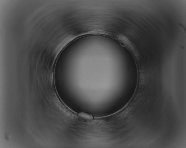 X0000101421284200807141145