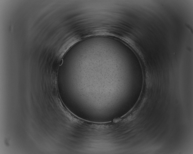 X0000101421289200807141145