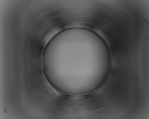 X0000101421290200807141145