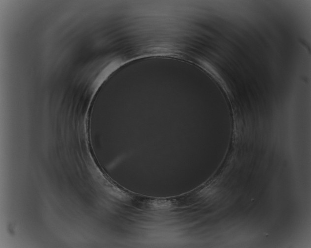 X0000101421291200807141145