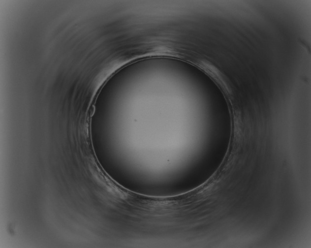 X0000101421292200807141145