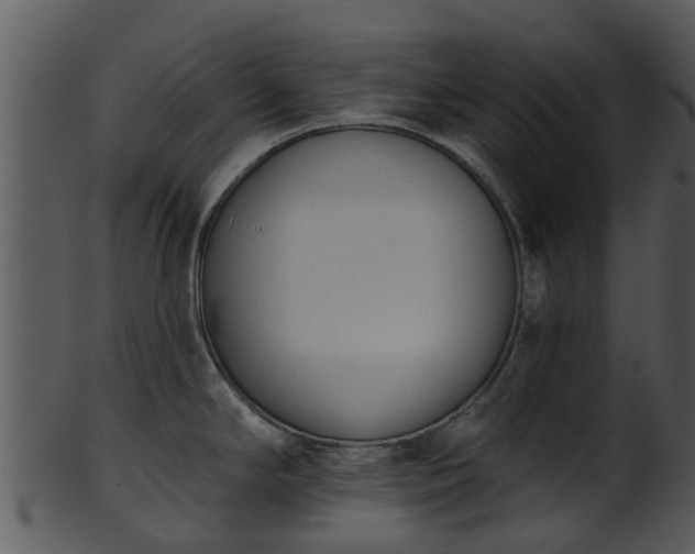X0000101421294200807141145