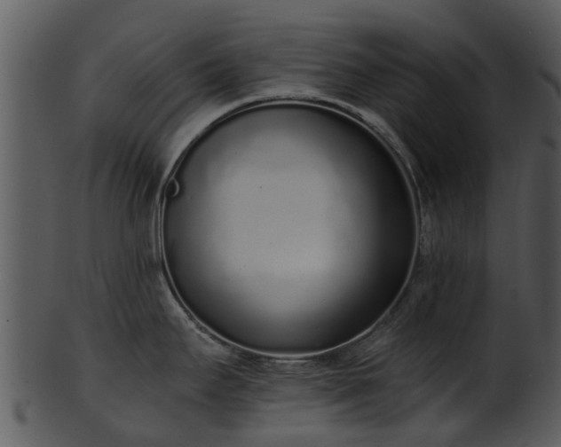 X0000101421295200807141145