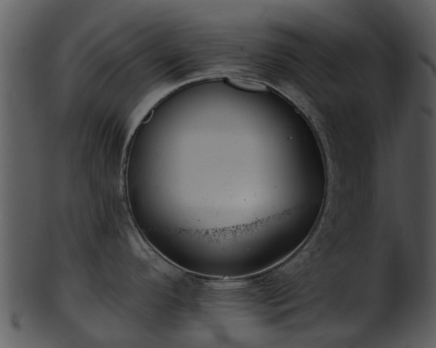 X0000101421296200807141145