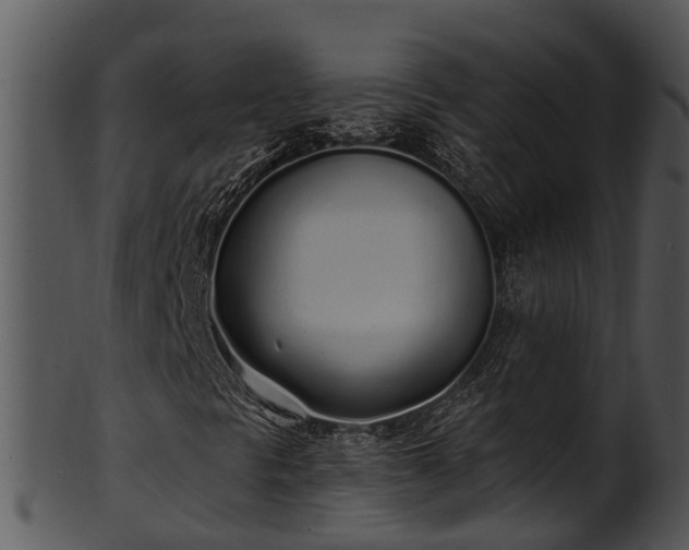 X0000101421297200807141144